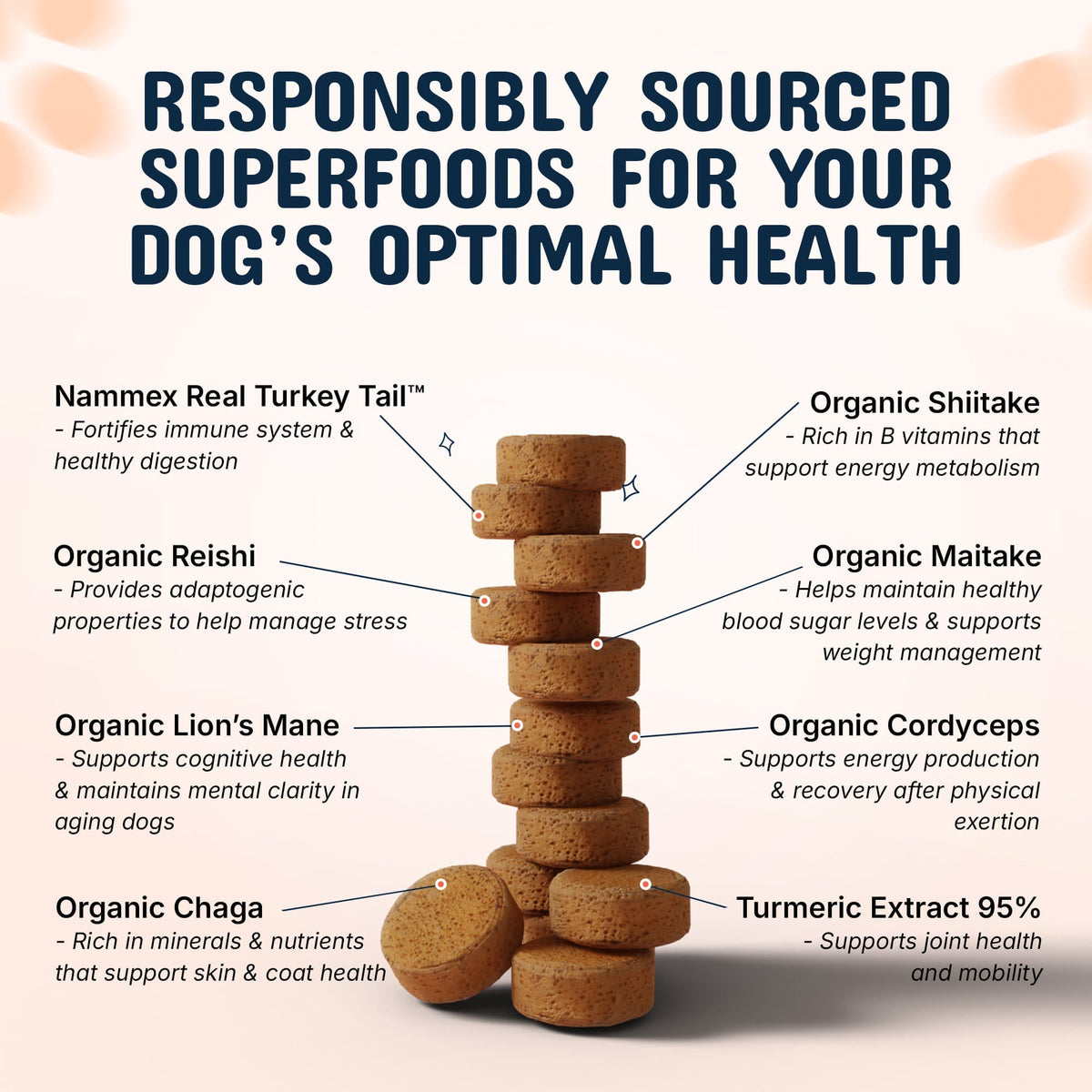 Premium Mushroom IVDD Defense Chews