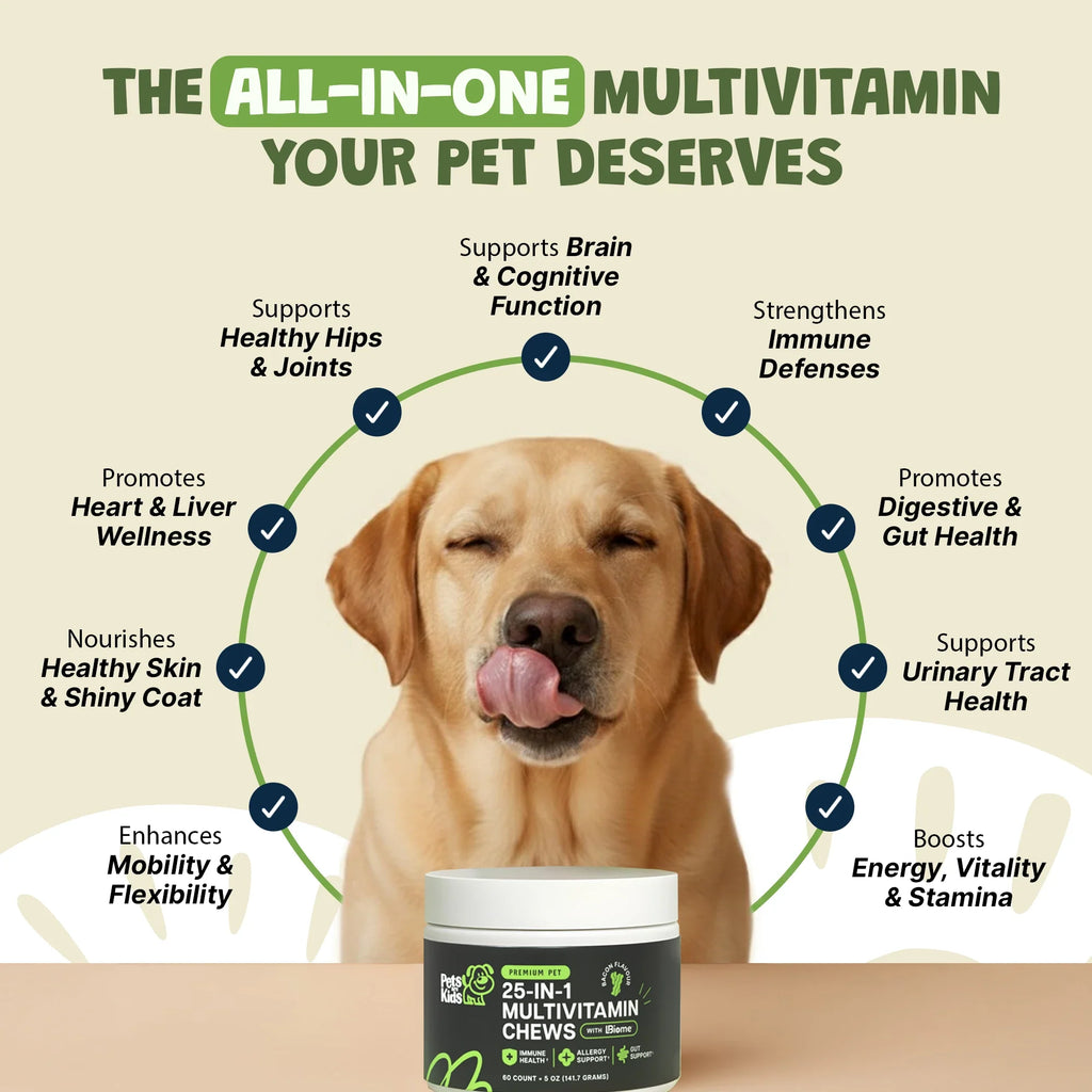 Good Doggo Recovery Bundle