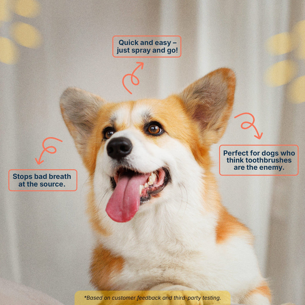 Premium Pet Dental Spray