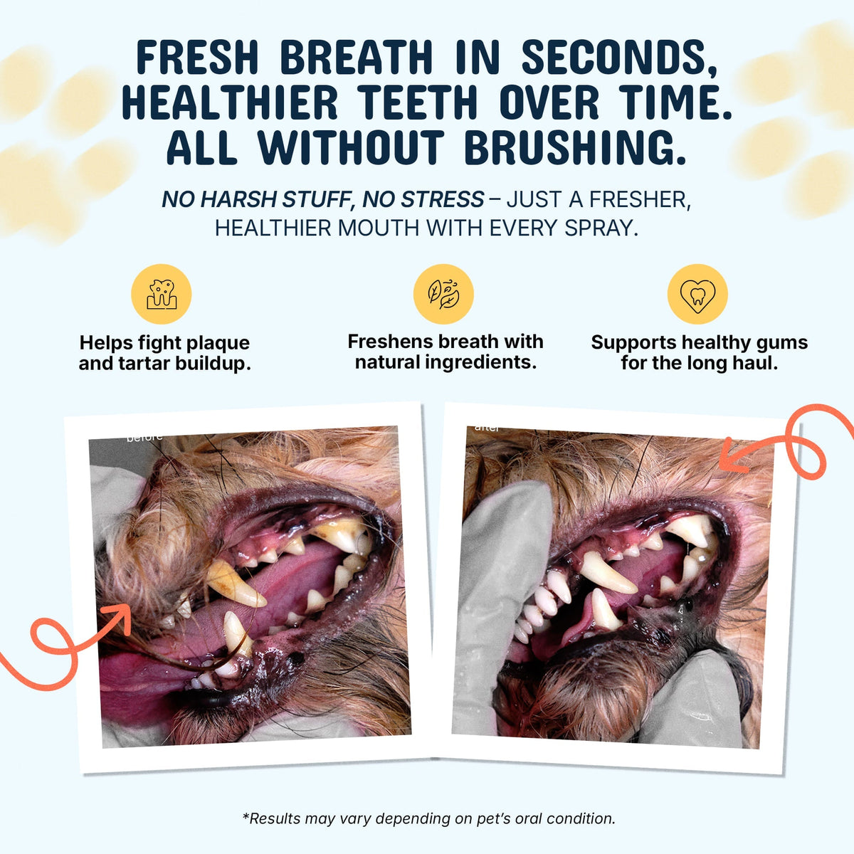 Premium Pet Dental Spray