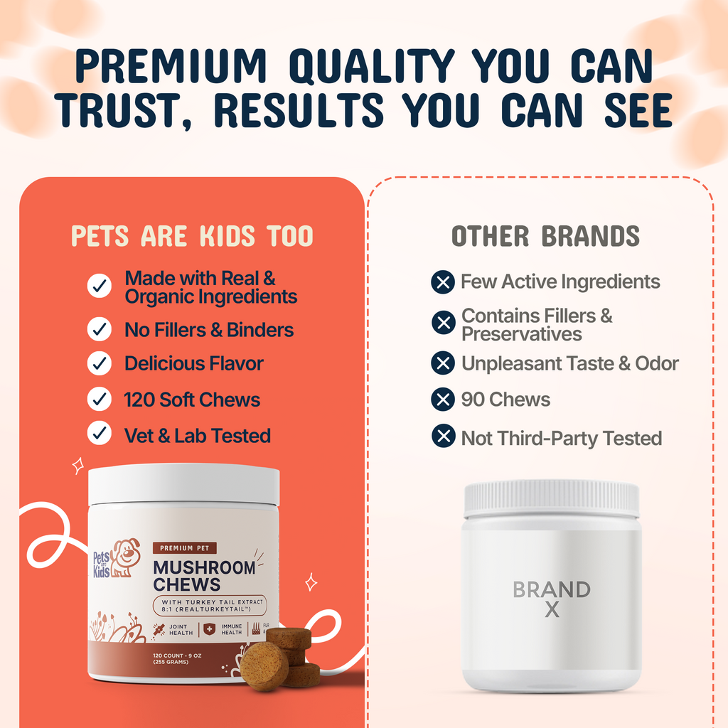 Premium Mushroom IVDD Defense Chews