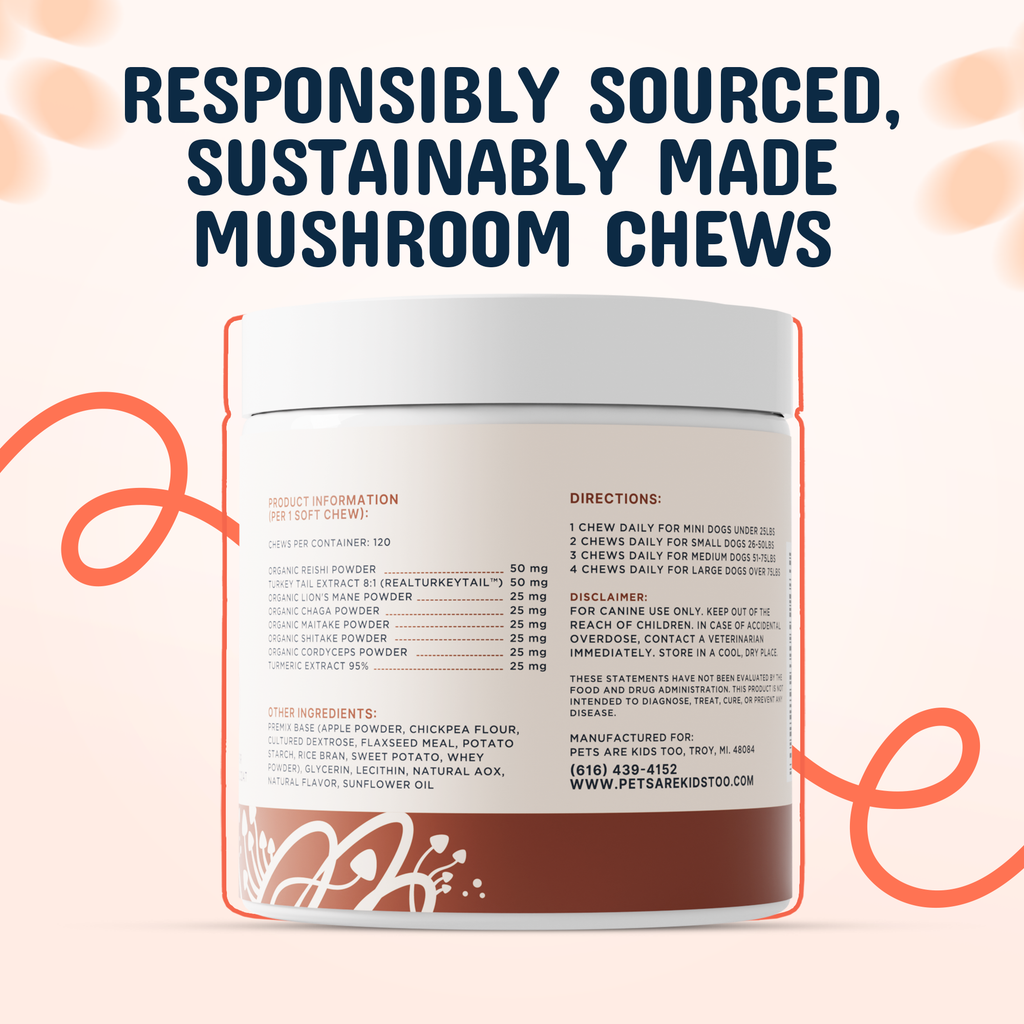 Premium Mushroom IVDD Defense Chews