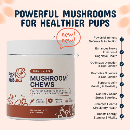 Mushroom Chews (120ct)