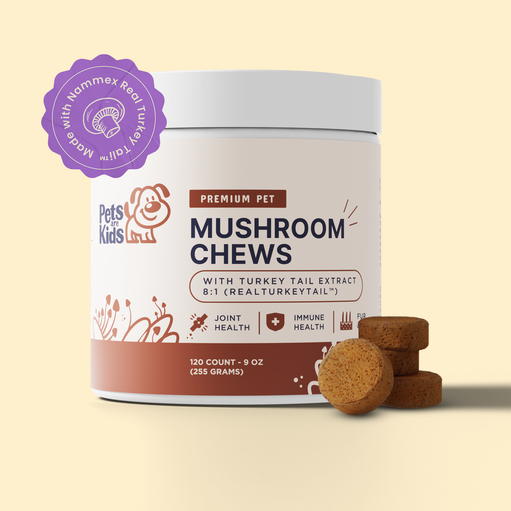 Premium Mushroom IVDD Defense Chews