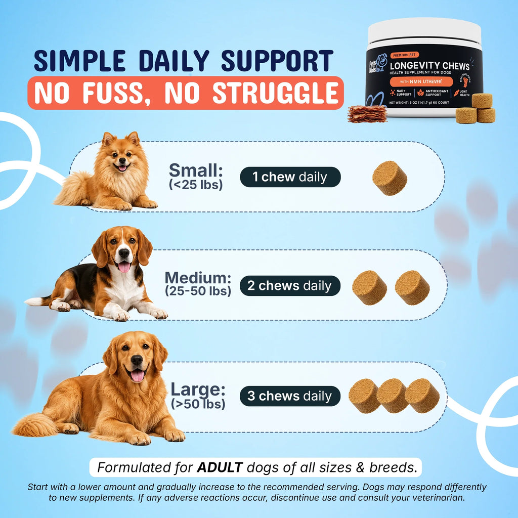 Premium Longevity Chews