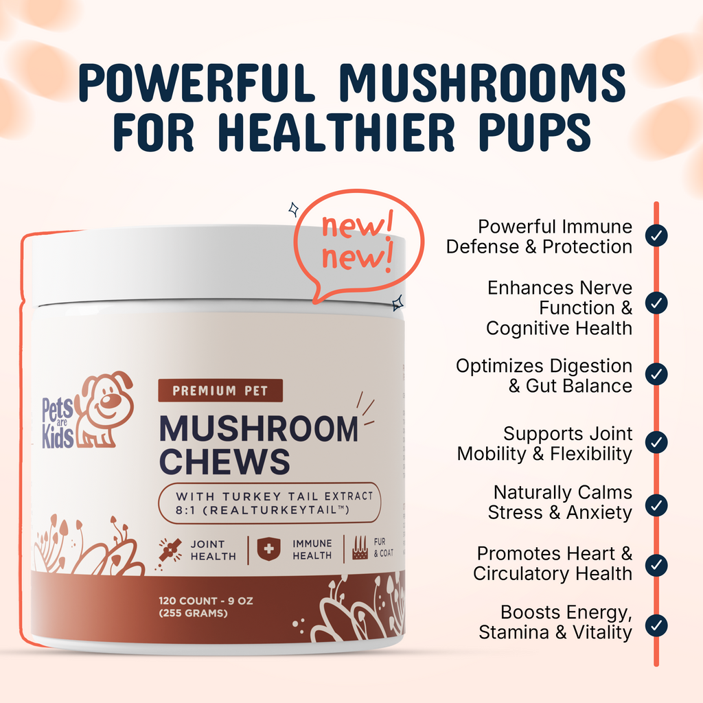 Premium Mushroom IVDD Defense Chews